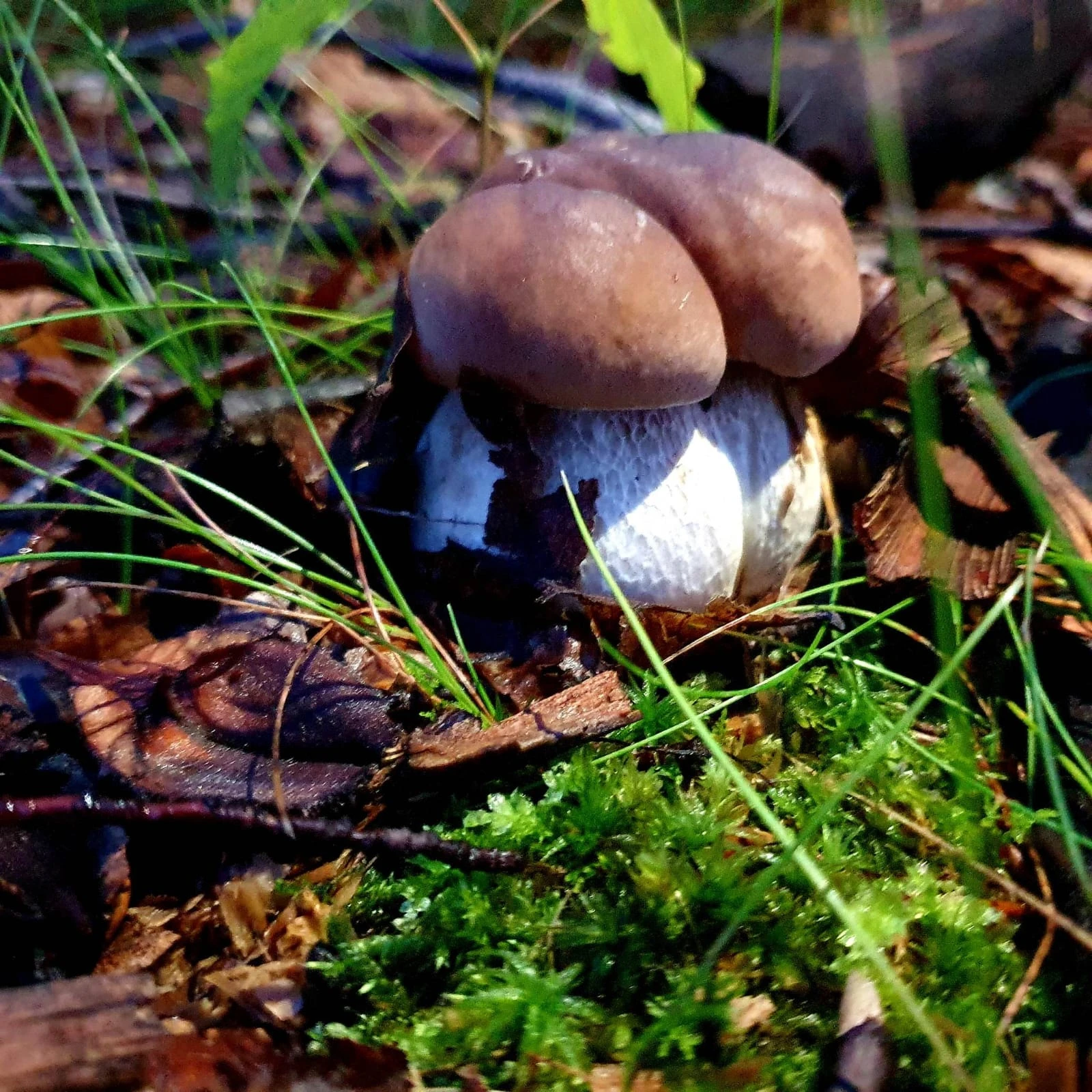 fot. Czytelniczka Marcelina
