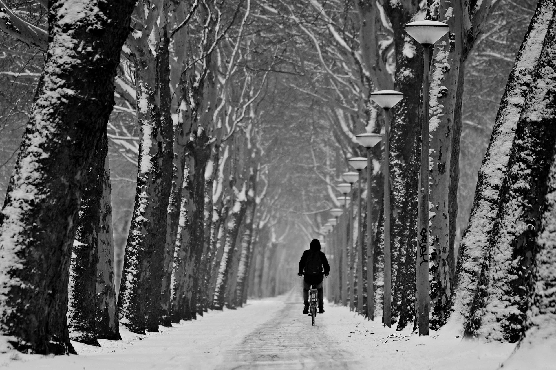 Zdjęcie ilustracyjne, fot. pixabay.com 