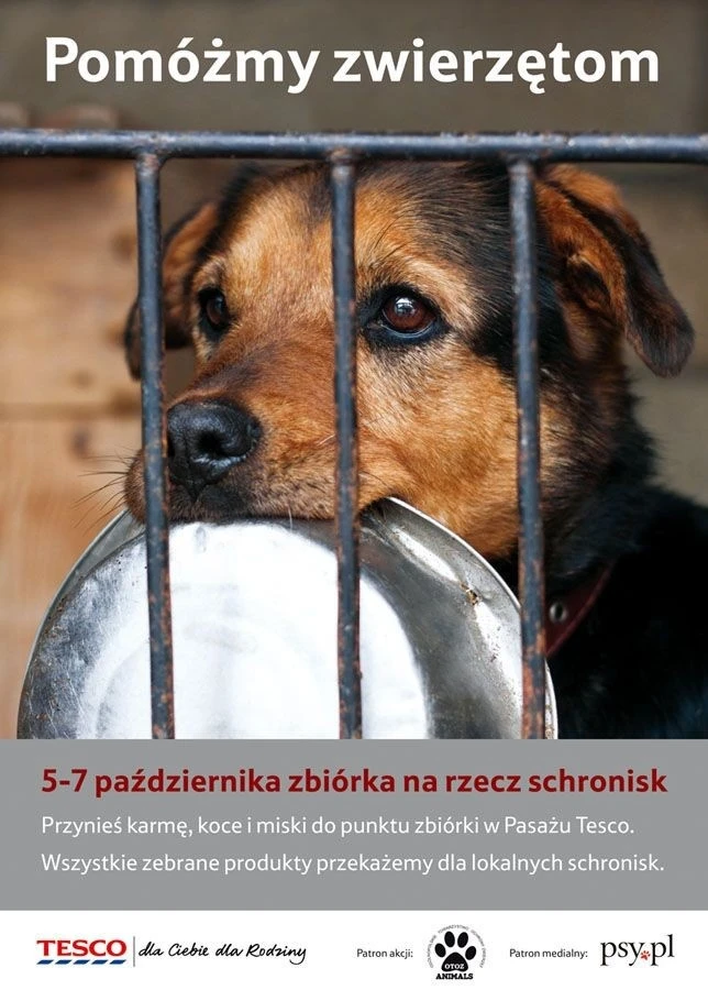 Weekendowe zbiórki dla zwierząt