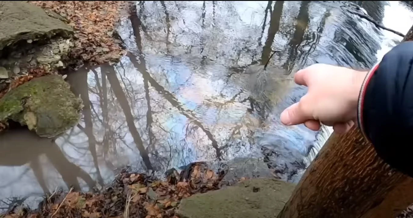 Fot. screen youtube