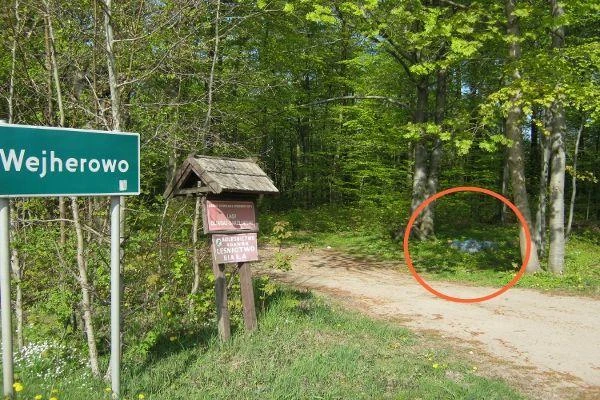 Śmieciowa rewolucja. Czy będzie czyściej?