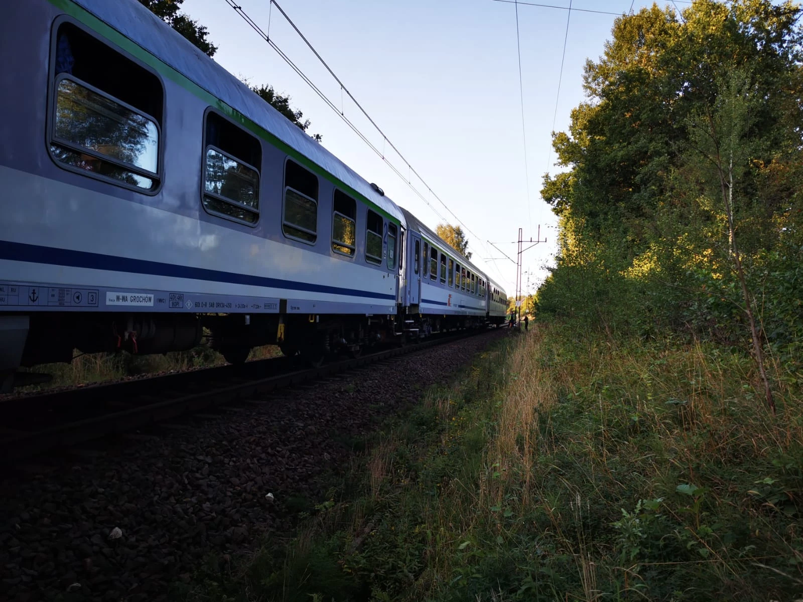 Fot. Mieszko Weltrowski