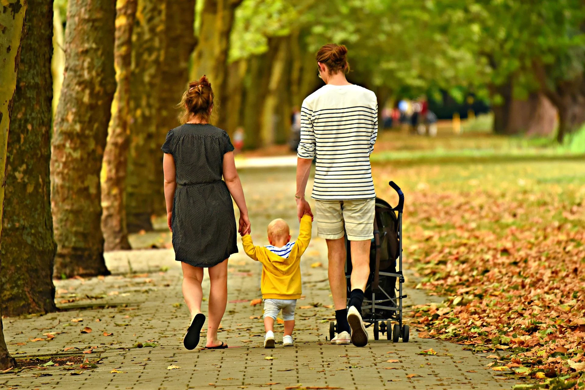 Fot. pixabay.com 