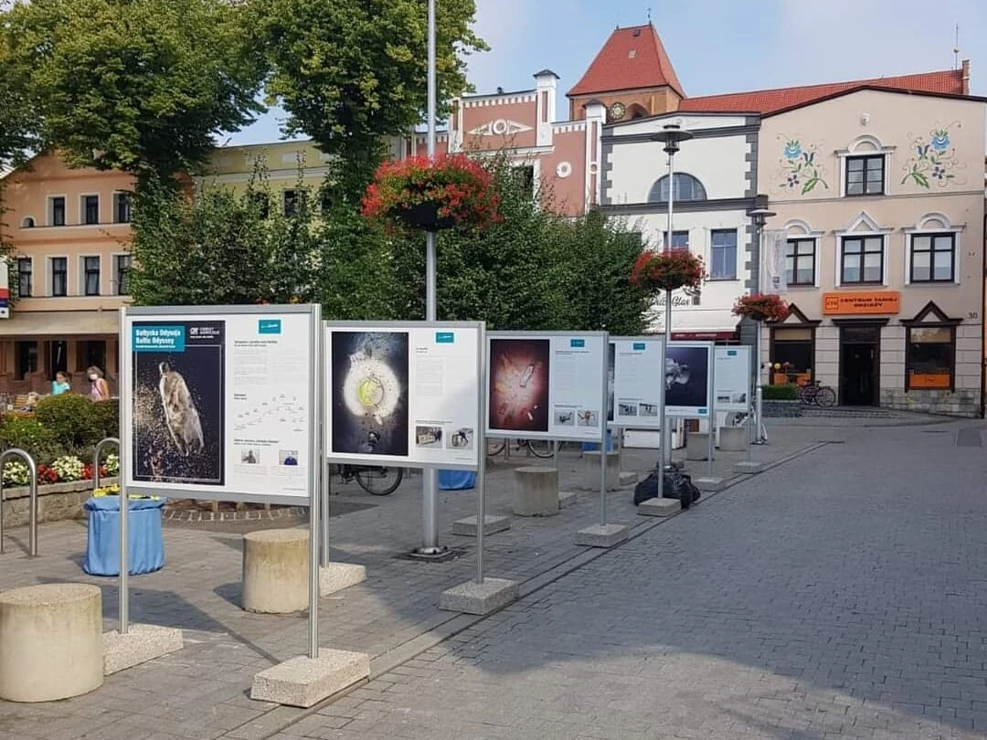 Źródło:Miasto Puck/Facebook