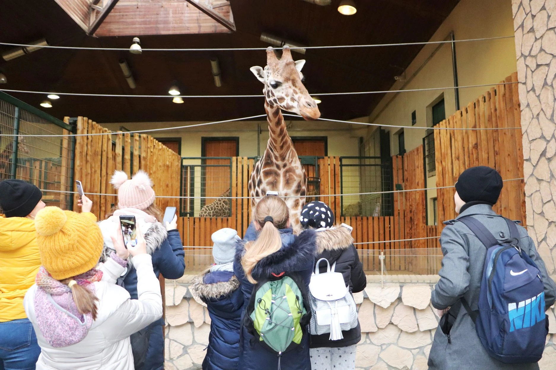 Źródło Gdański Ogród Zoologiczny/Facebook.com 