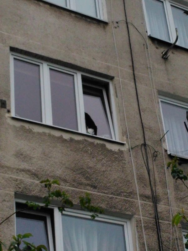 fot. SM Gdańsk