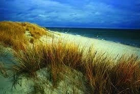 Hel najpopularniejszą miejscowością plażową tego roku