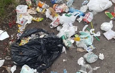 źródło: UM Hel