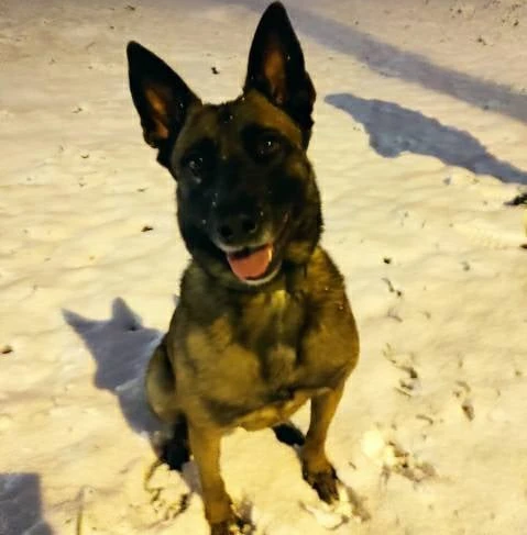 Fot. Pomorska Policja