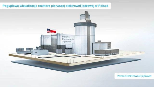 źródło: PEJ
