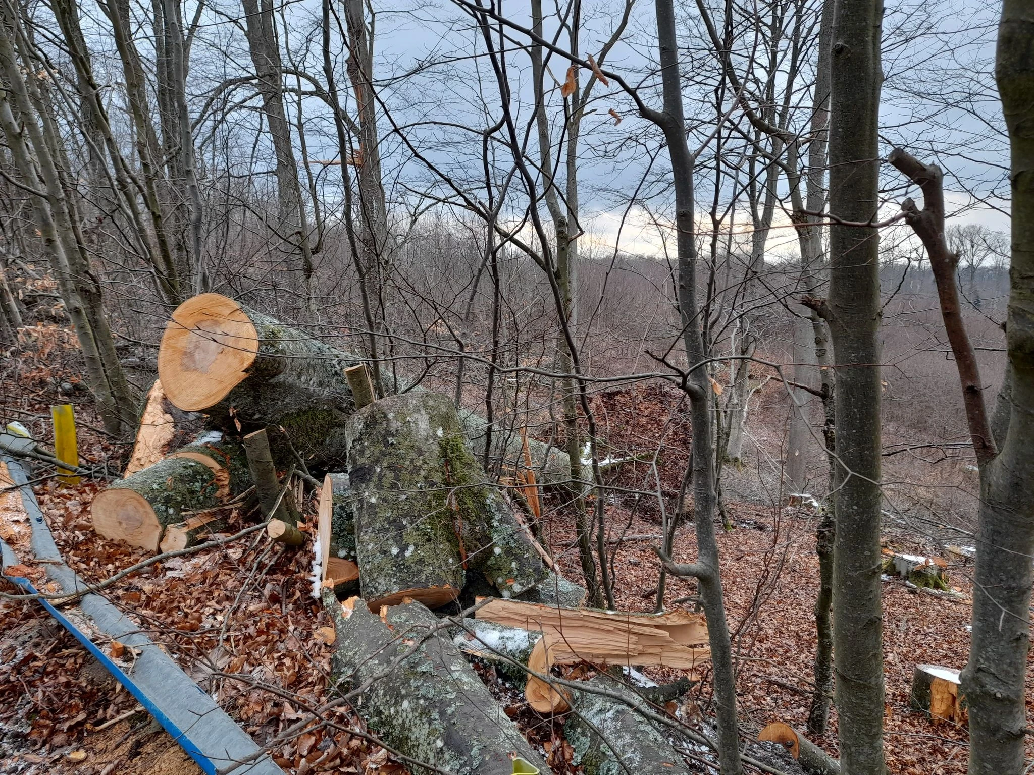 Gmina Gniewino/ Fot Czytelniczka