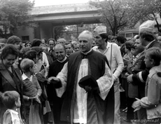 Zdjęcie pochodzi z artykułu gdynia.pl