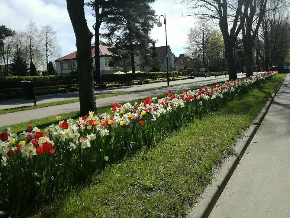 źródło: FB/Roman Kużel