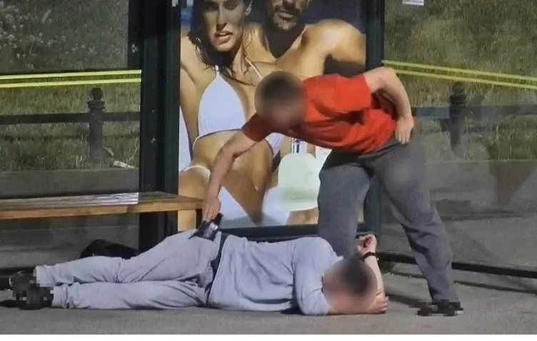 fot. Straż Miejska w Gdańsku