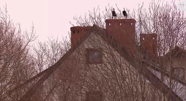 źródło: telewizjattm.pl (archiwum)