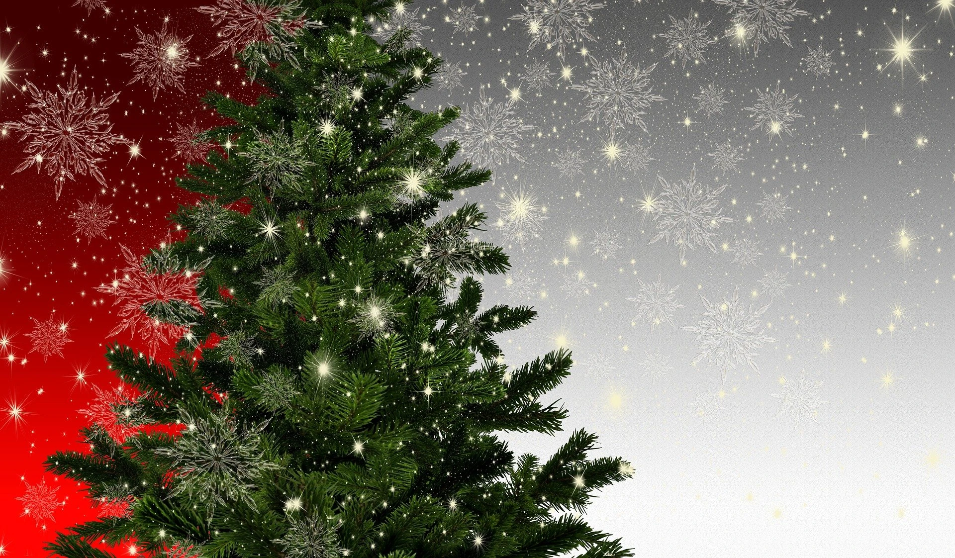 zdjęcie ilustracyjne, źródło:pixabay.com