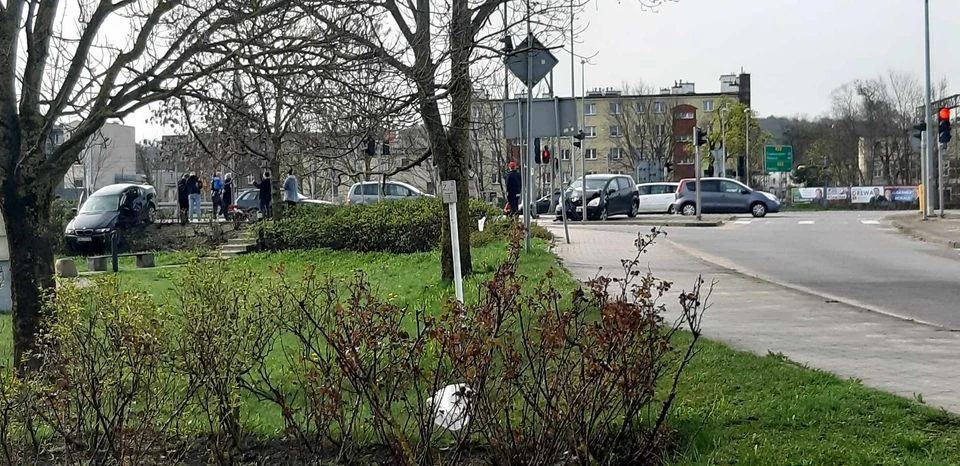 fot. czytelniczka