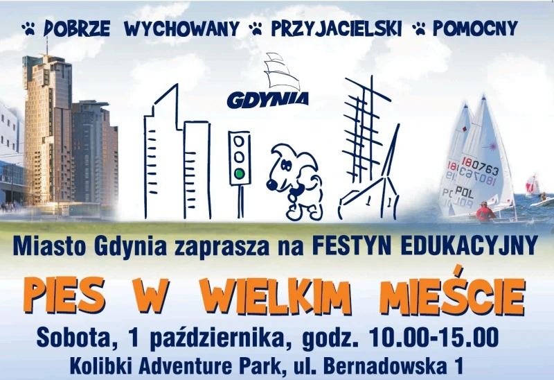 Jak żyje „Pies w Wielkim Mieście”?