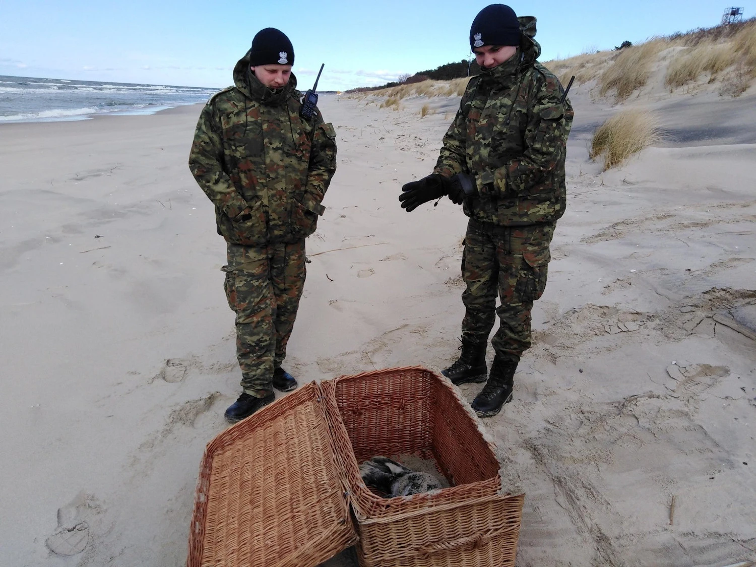 Fot. Jan Wilkanowski/Błękitny Patrol WWF