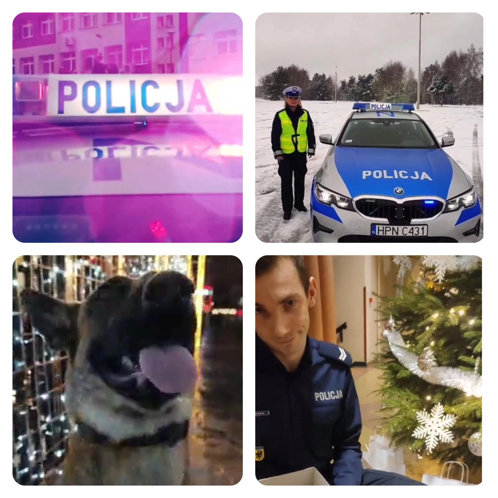 Fot. pomorska_policja TikTok