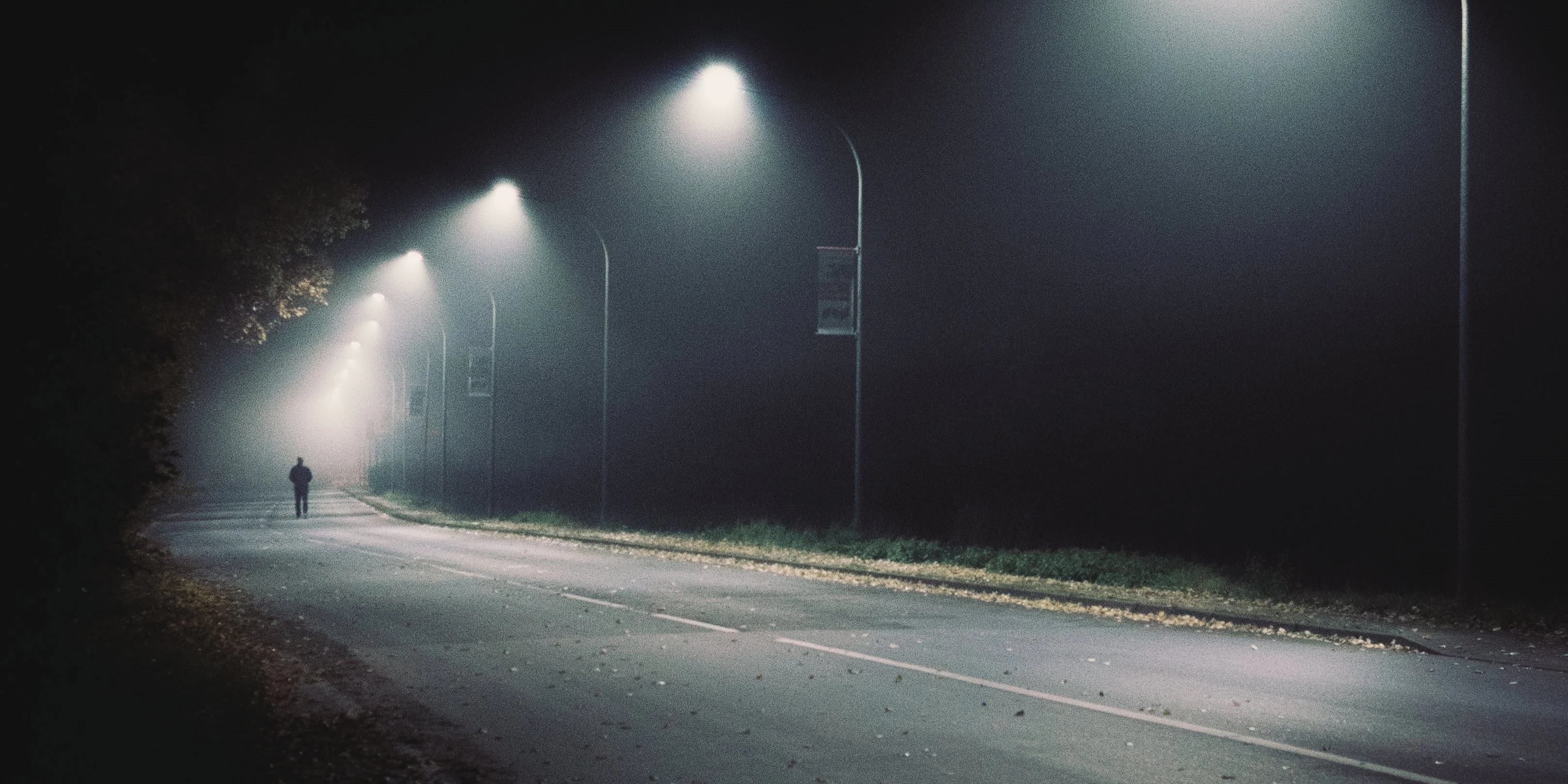fot. poglądowe / pexels