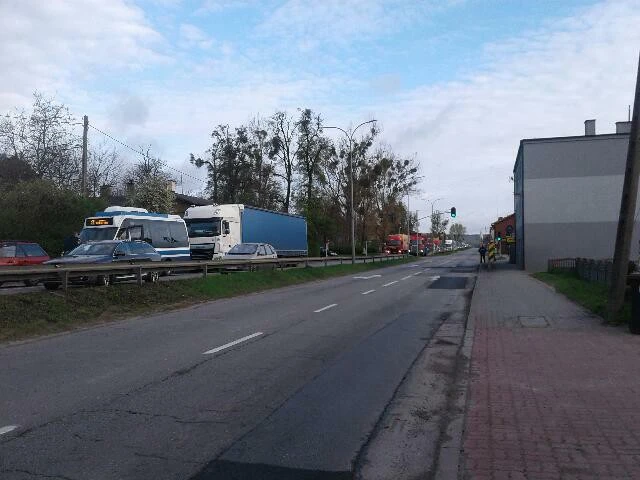 Fot. Dorys Car