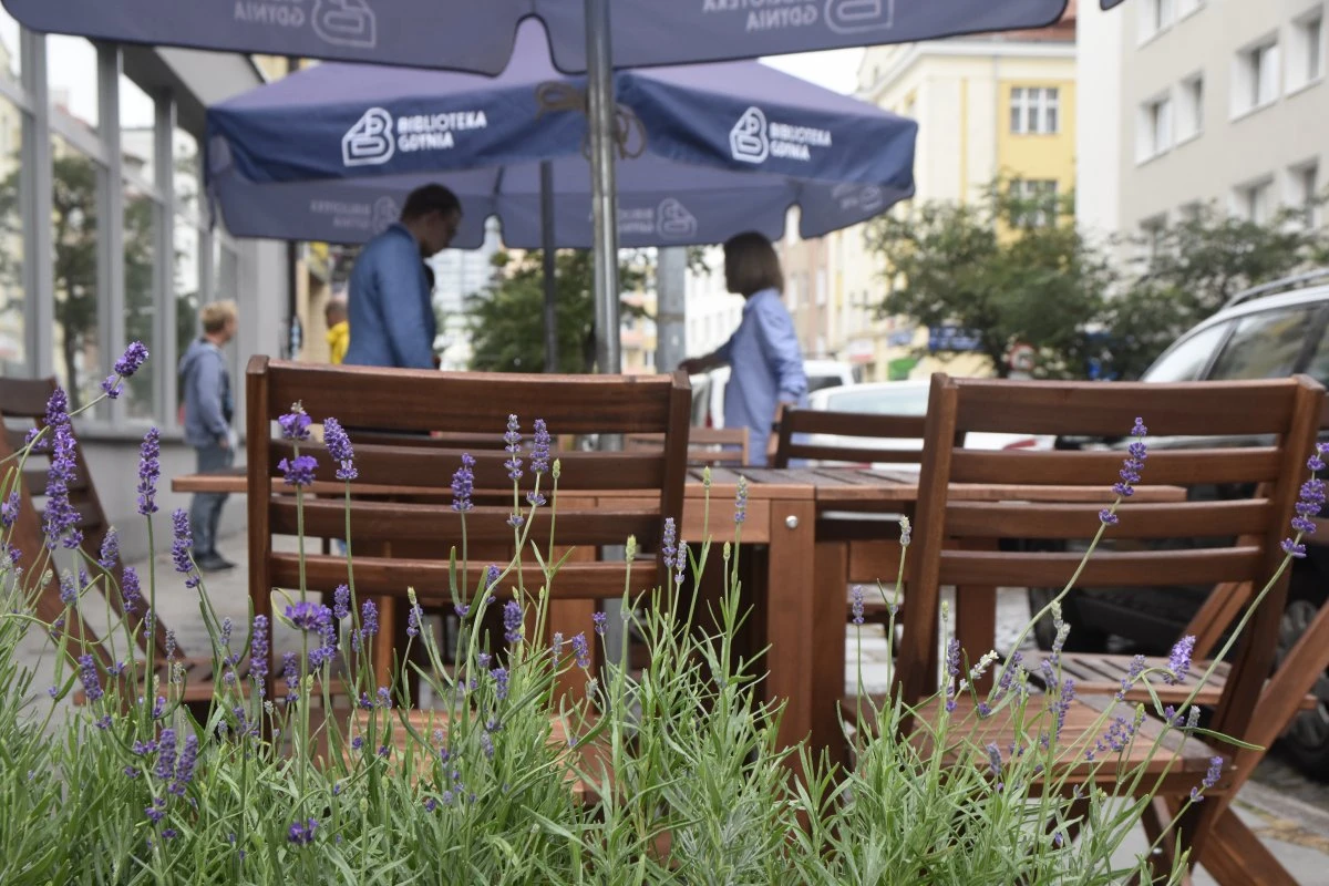 Fot. Gdynia.pl 