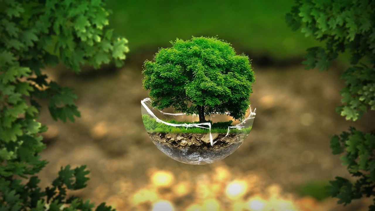 Fot. pixabay.com