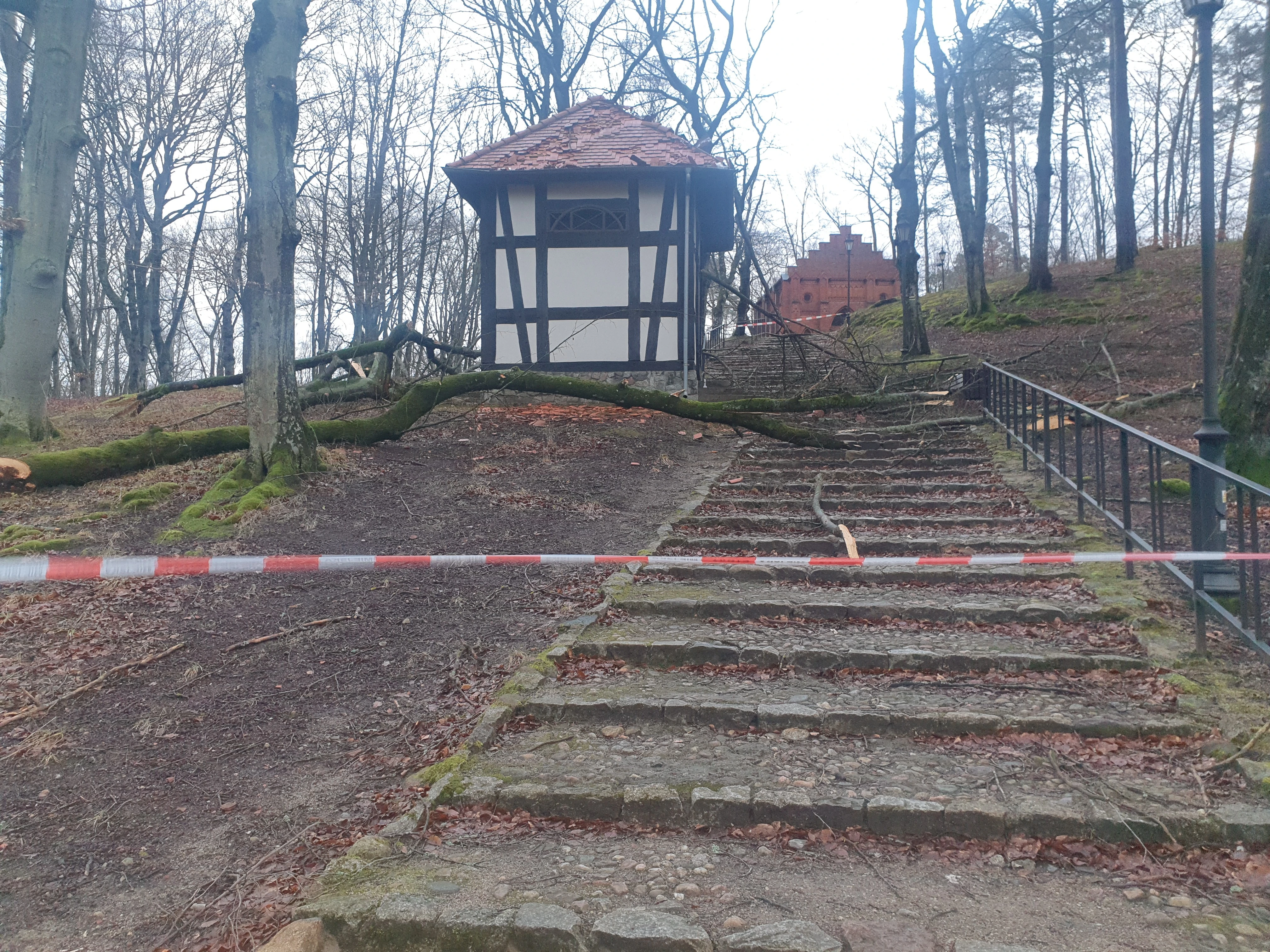 Fot. SM Wejherowo 