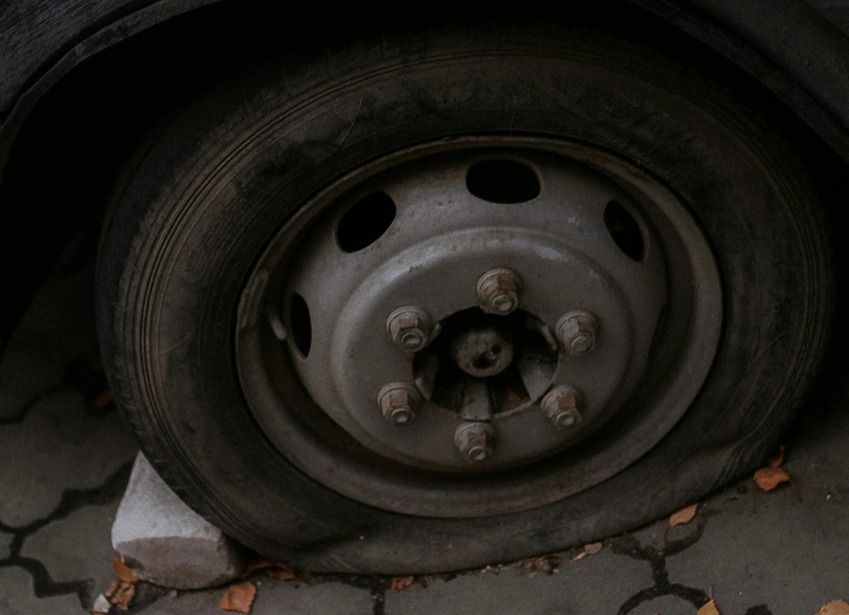 zdjęcie poglądowe / pexels