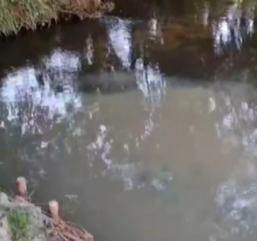 nadesłane
