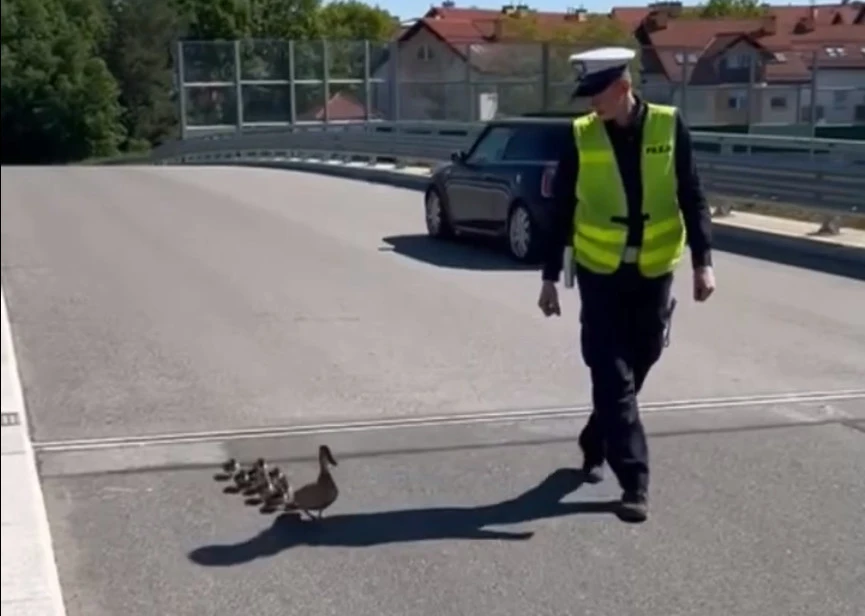 Fot. Facebook Pomorska Policja
