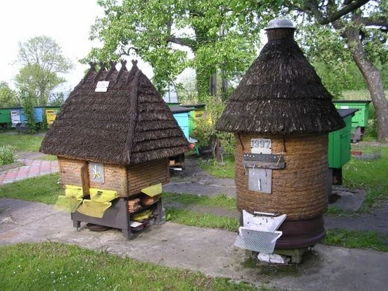 Fot. barlomino.pl