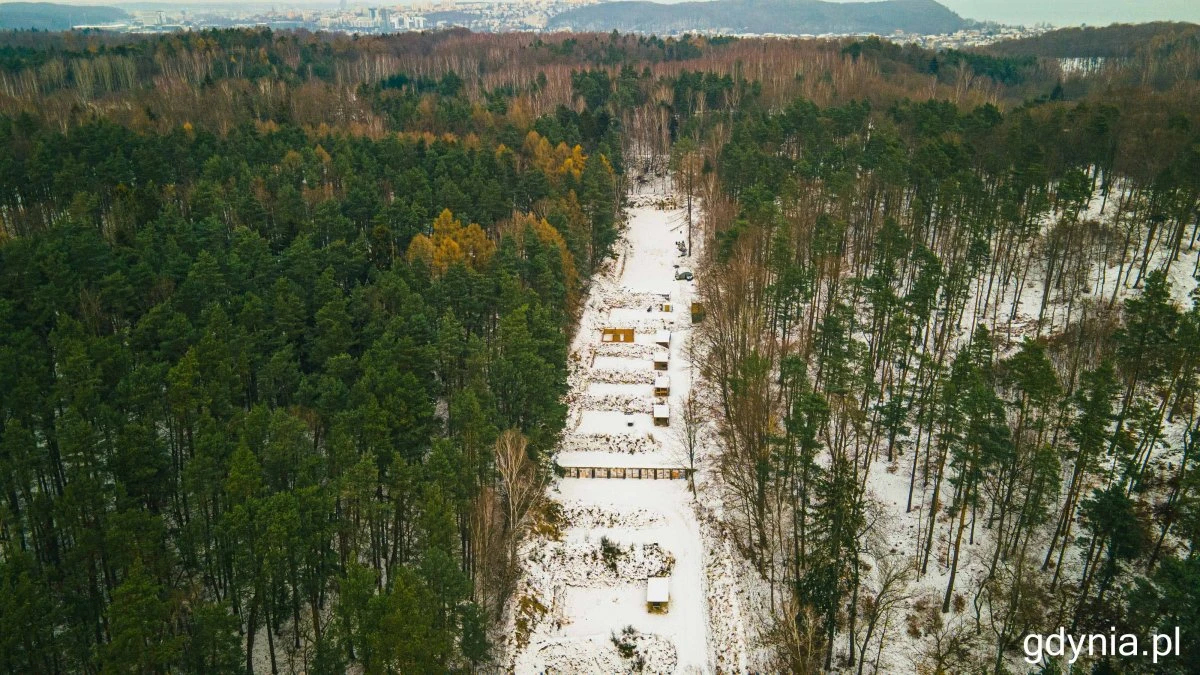 Źródło: gdynia.pl 