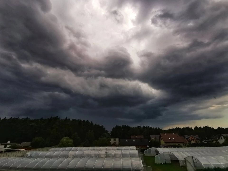 Autor: Czytelniczka / Kębłowo