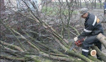 Kolejny dzień walki z żywiołem na Pomorzu. Wiatr łamie drzewa i zrywa linie energetyczne