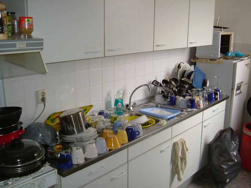 Pogoń za studencką stancją