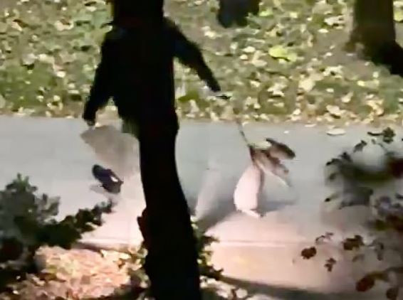 Ciągnął psa po ziemi i rzucał nim o chodnik. 52-latek zatrzymany przez policję