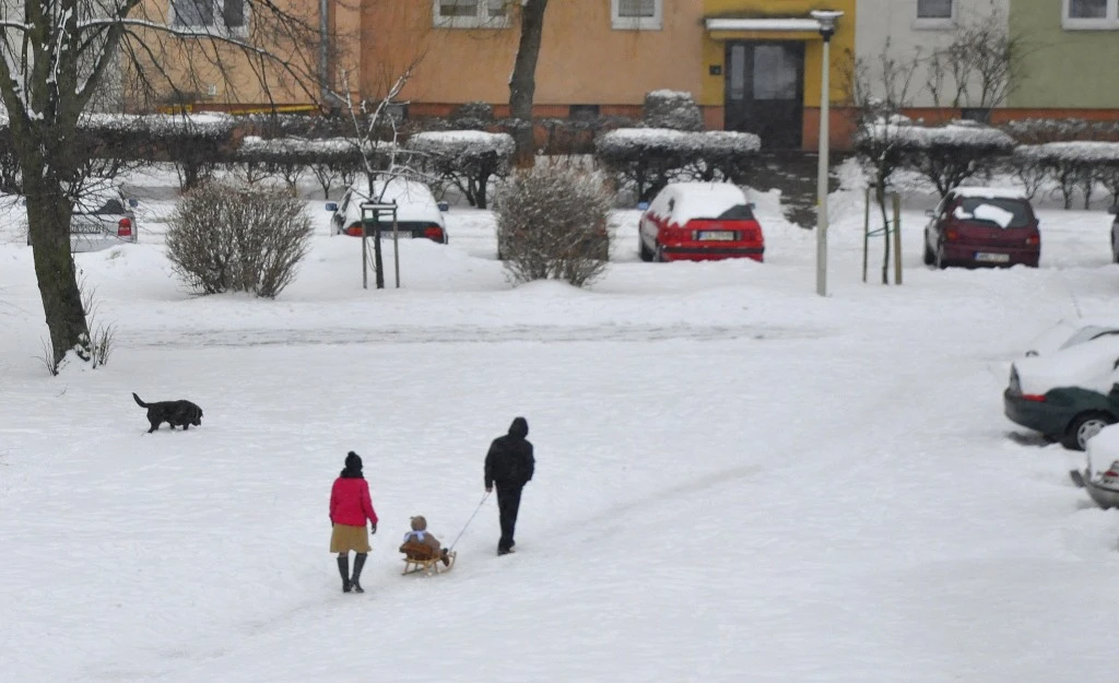 Bardzo śnieżny Lany Poniedziałek