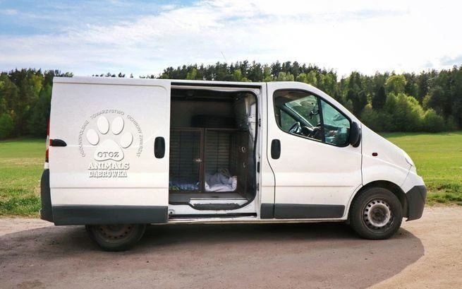 Źródło: Schronisko w Dąbrówce