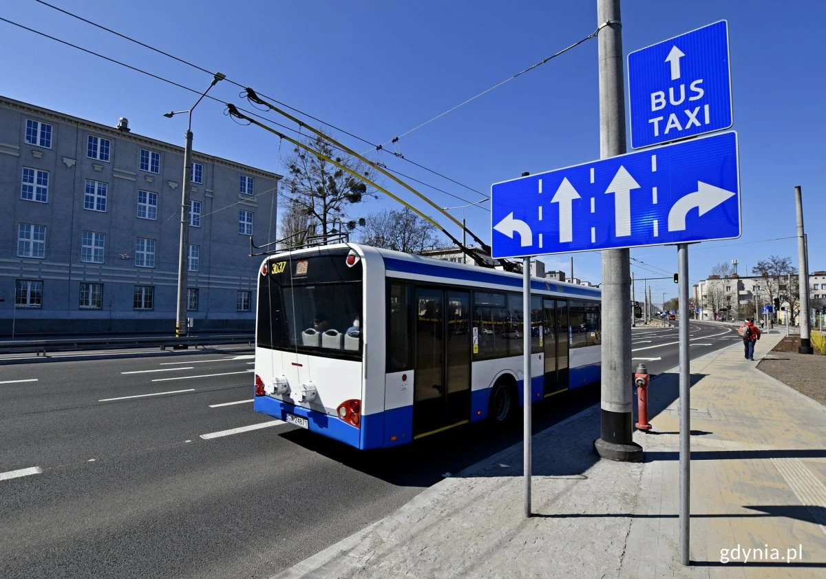 Fot. Kamil Złoch/Gdynia.pl