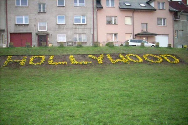 Hollywood w Wejherowie??