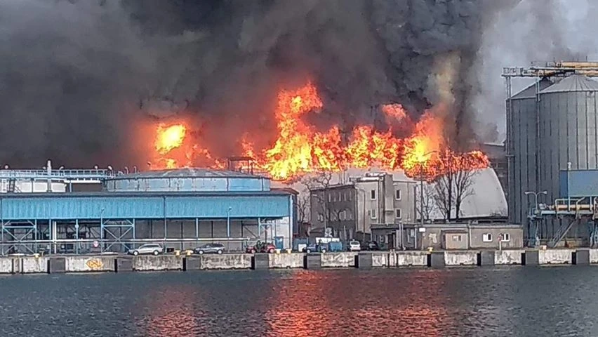 Fot, Czytelnik
