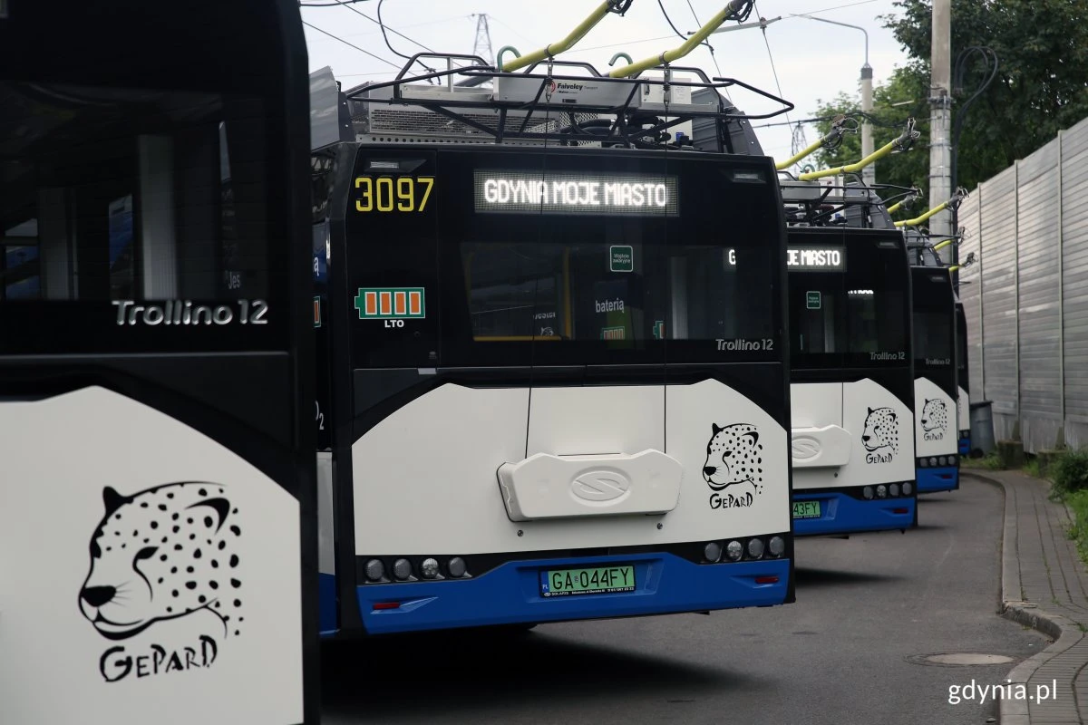 źródło: gdynia.pl