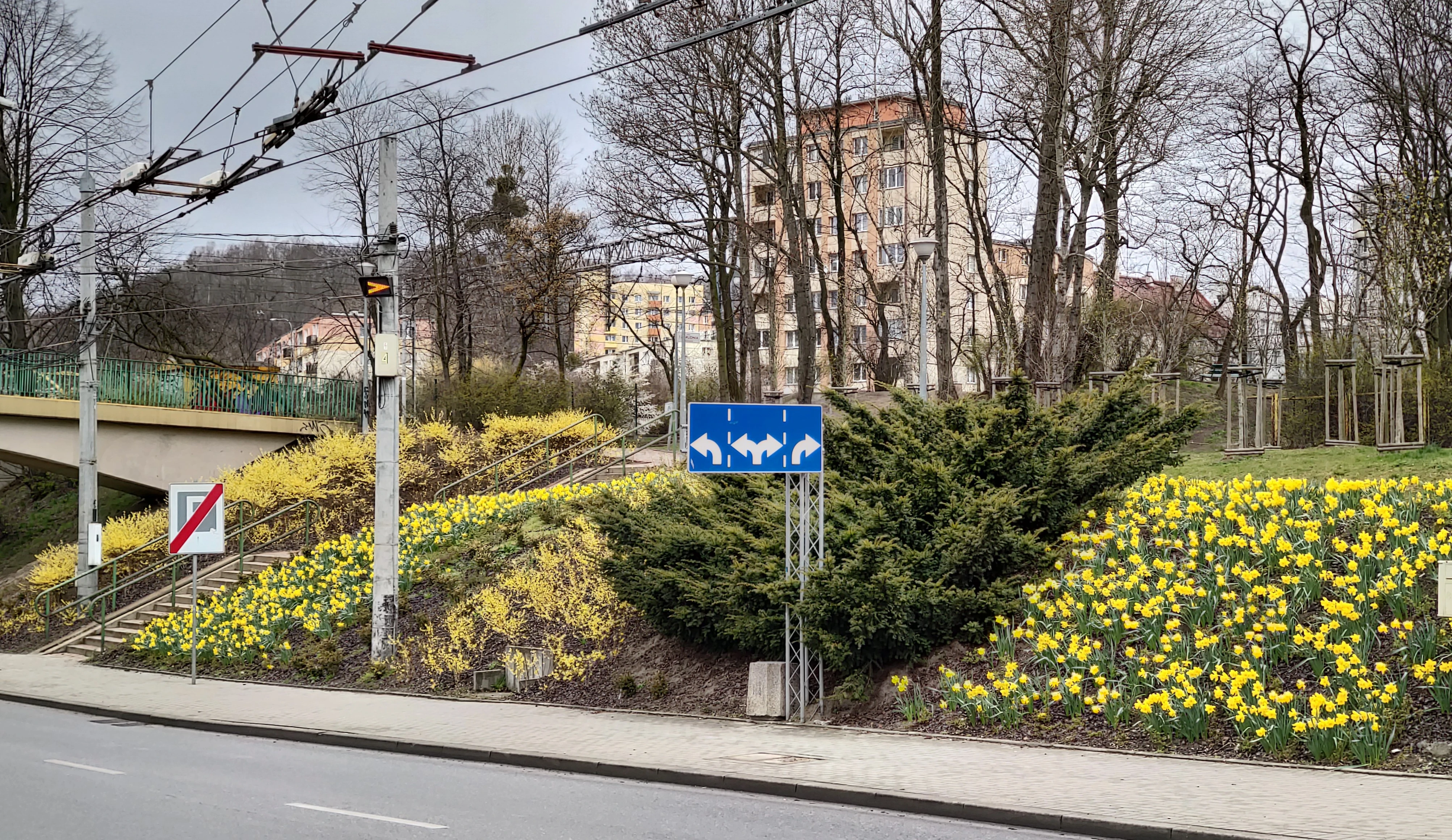 Fot. D. Waletko/źródło: UM Gdynia