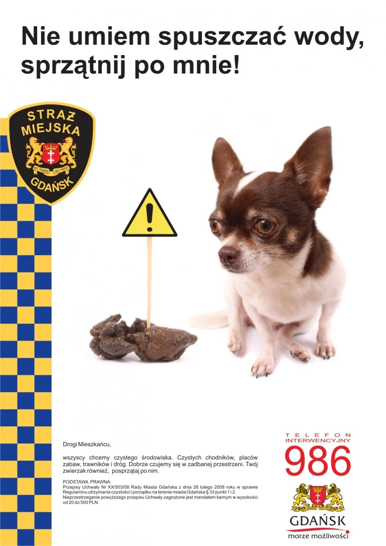 Akcja “Przebiśnieg”, czyli posprzątaj po swoim pupilu