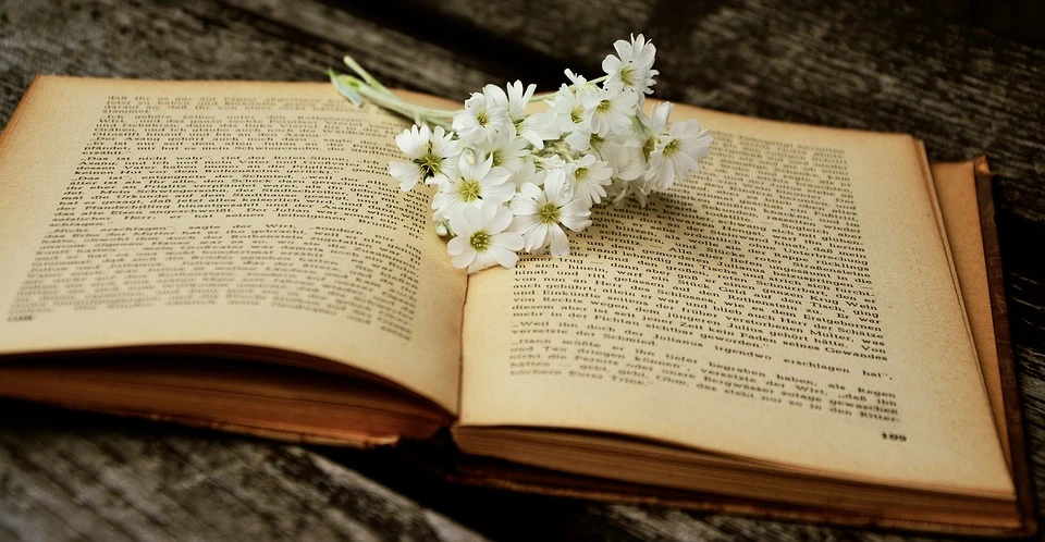 Zdjęcie ilustracyjne/Pixabay.com