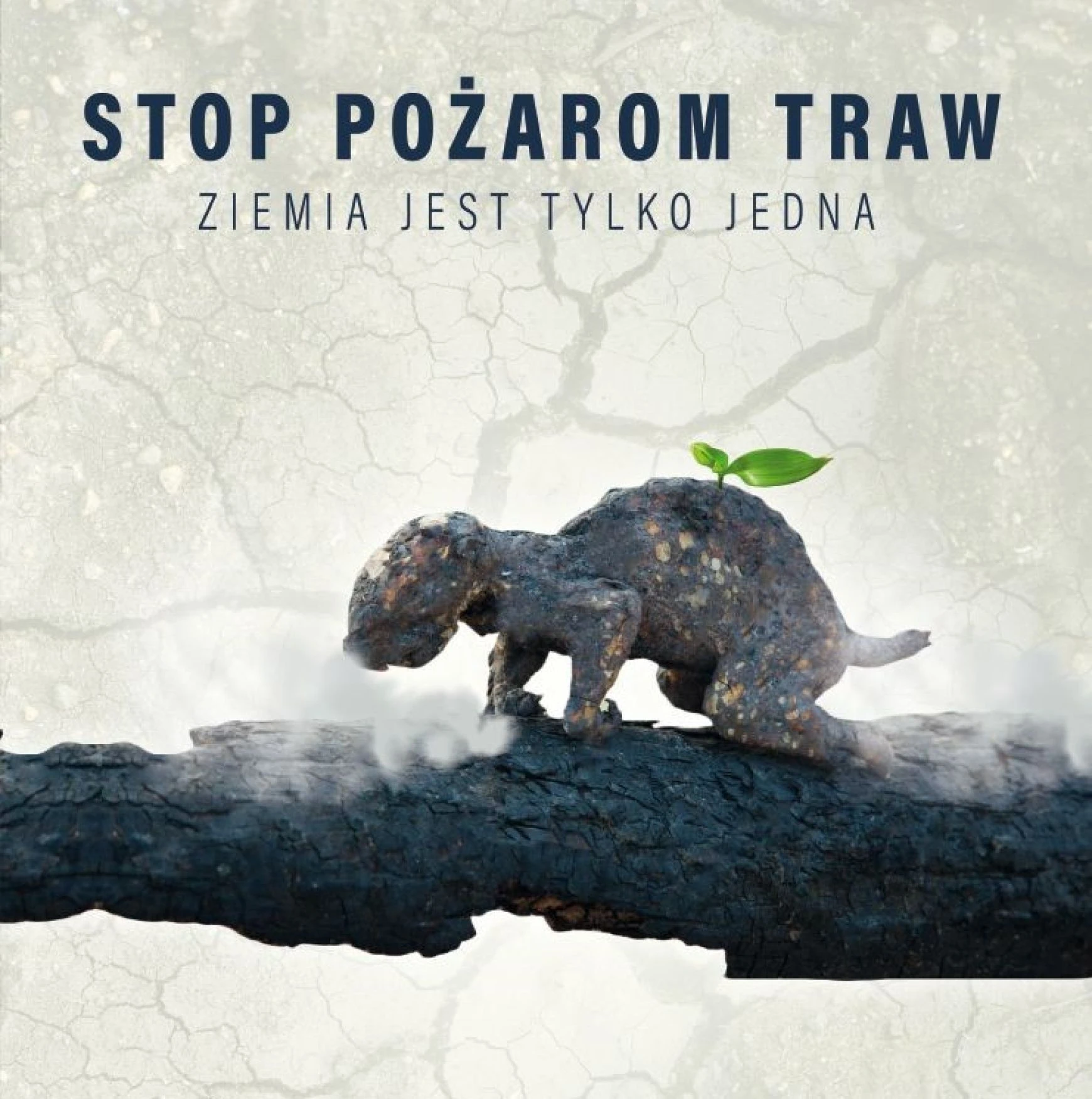 Fot. www.gdansk.uw.gov.pl