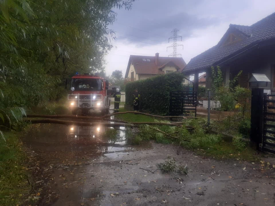 Źródło: OSP Orle