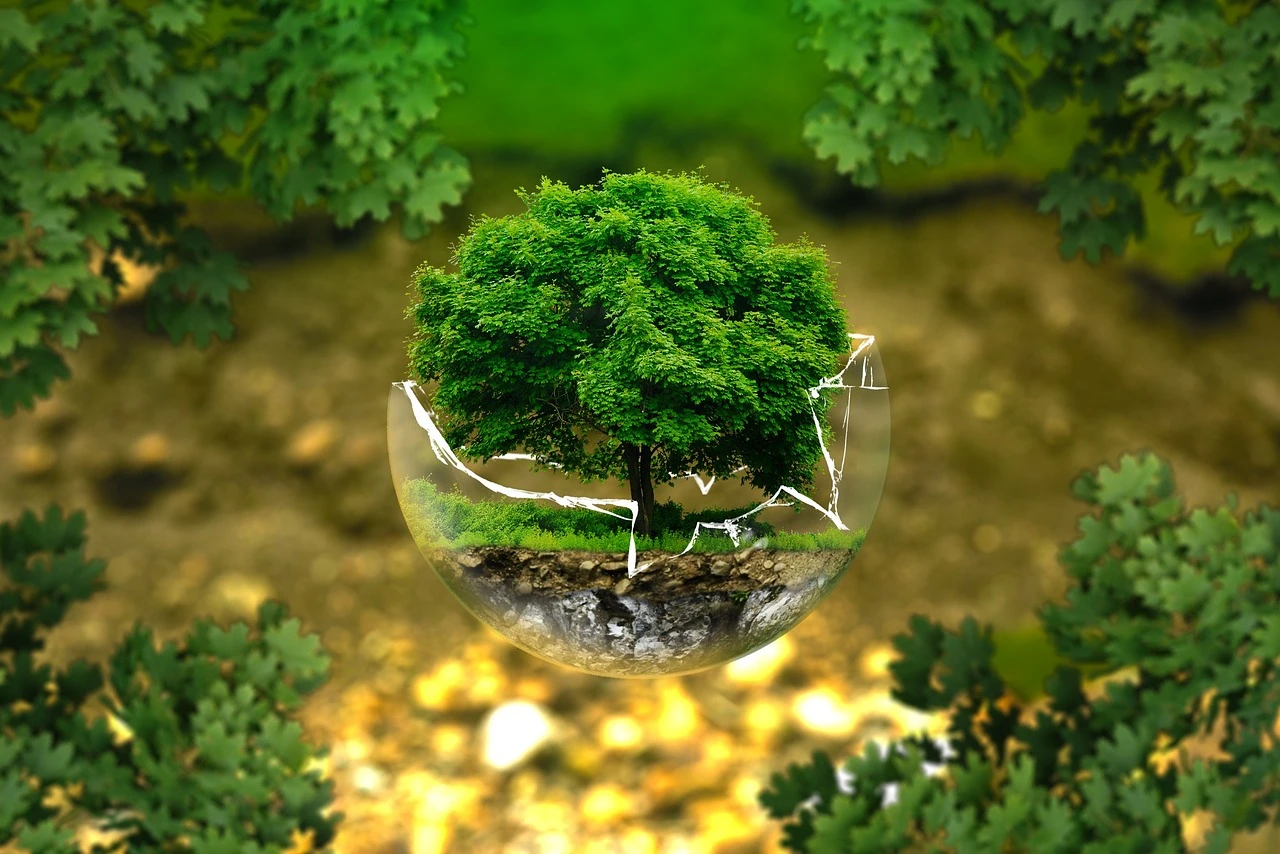 Zdjęcie ilustracyjne/pixabay.com
